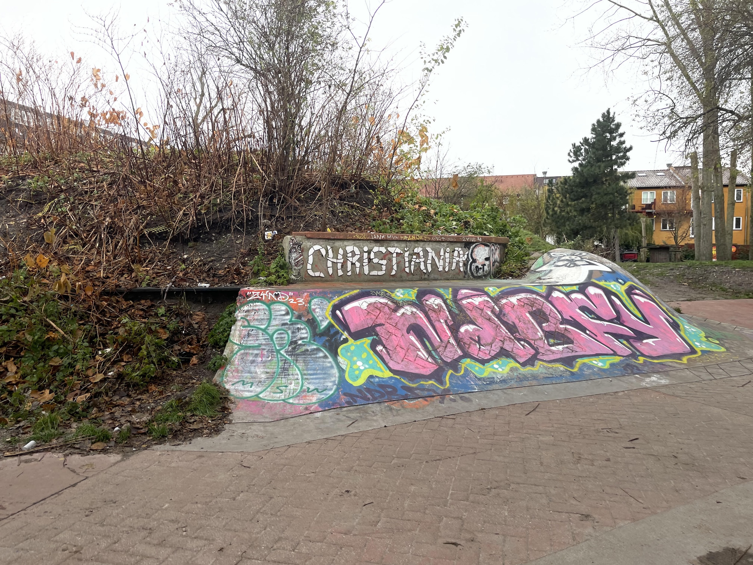 Wonderland skaterpark